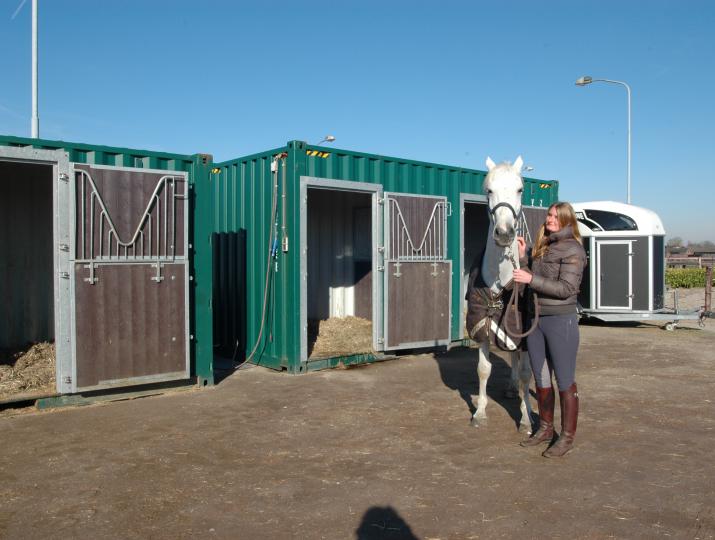tijdelijke paardenbox met paard